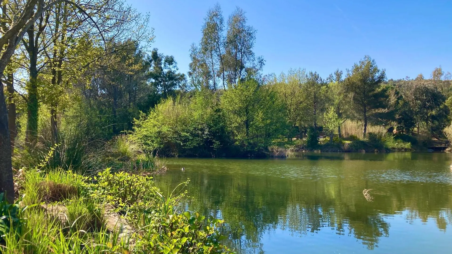 Les Restanques 3120 Vue Mer 3 Chambres Grimaud